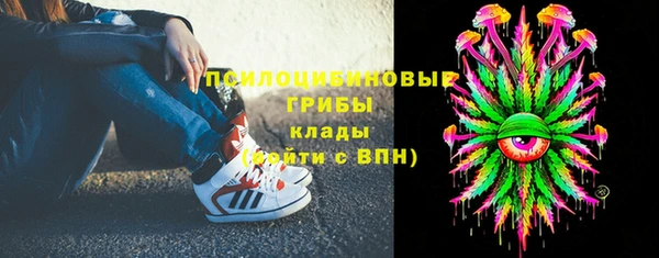 амф Краснослободск